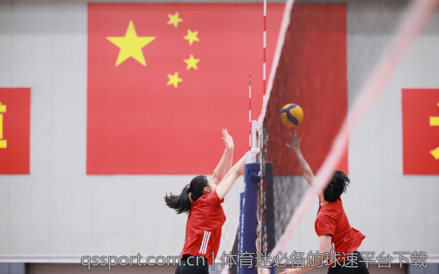 体育迷必备的球速平台下载